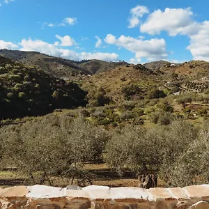  Bed & Breakfast Elements Spanje